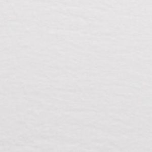 Meet your Posher, Ava